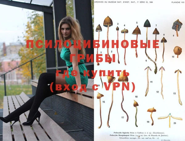 эйфоретик Аркадак