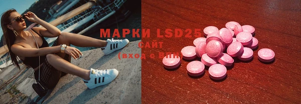 эйфоретик Аркадак