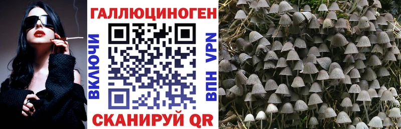 Купить где  Белая Холуница  Галлюциногенные грибы мухоморы 